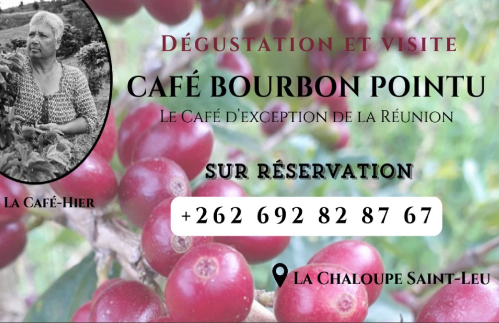 Carte de visite Café bourbon pointu